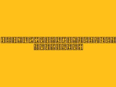 千葉花火大会：今日開催？日程・場所・穴場スポット徹底ガイド！