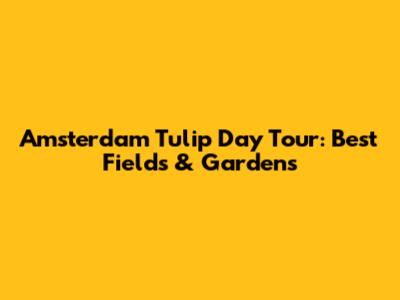 Amsterdam Tulip Day Tour: Best Fields & Gardens