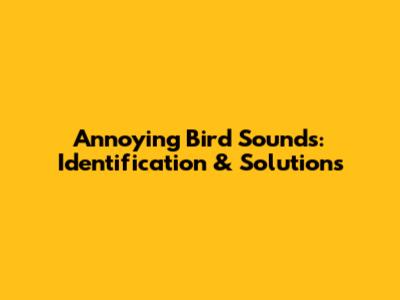 Annoying Bird Sounds: Identification & Solutions