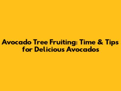 Avocado Tree Fruiting: Time & Tips for Delicious Avocados
