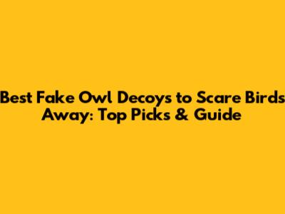 Best Fake Owl Decoys to Scare Birds Away: Top Picks & Guide
