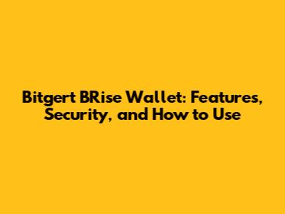 Bitgert BRise Wallet: Features, Security, and How to Use