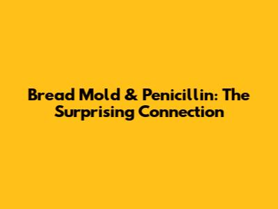 Bread Mold & Penicillin: The Surprising Connection