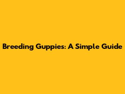Breeding Guppies: A Simple Guide