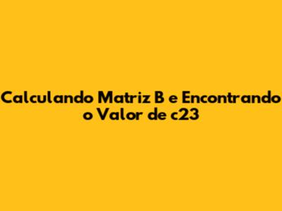 Calculando Matriz B e Encontrando o Valor de c23