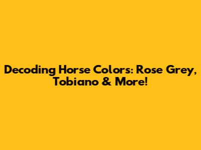 Decoding Horse Colors: Rose Grey, Tobiano & More!
