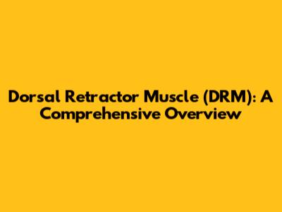 Dorsal Retractor Muscle (DRM): A Comprehensive Overview