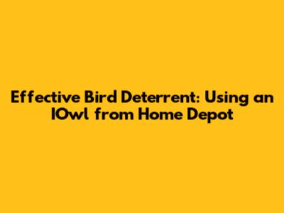 Effective Bird Deterrent: Using an IOwl from Home Depot
