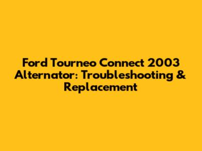 Ford Tourneo Connect 2003 Alternator: Troubleshooting & Replacement