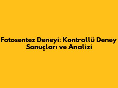Fotosentez Deneyi: Kontrollü Deney Sonuçları ve Analizi