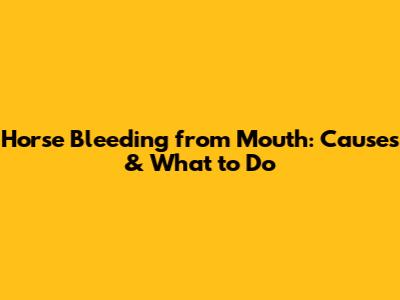 Horse Bleeding from Mouth: Causes & What to Do