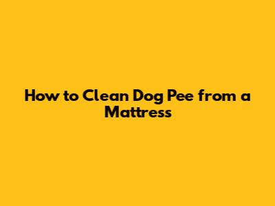 How to Clean Dog Pee from a Mattress