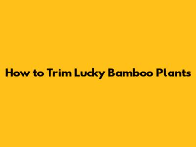 How to Trim Lucky Bamboo Plants
