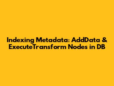 Indexing Metadata: AddData & ExecuteTransform Nodes in DB