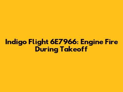 Indigo Flight 6E7966: Engine Fire During Takeoff