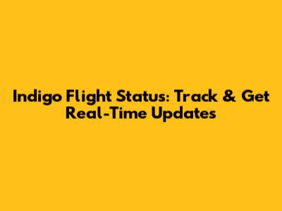 Indigo Flight Status: Track & Get Real-Time Updates
