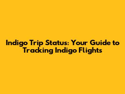 Indigo Trip Status: Your Guide to Tracking Indigo Flights