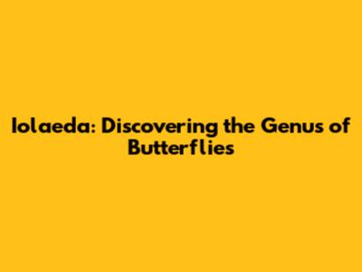 Iolaeda: Discovering the Genus of Butterflies