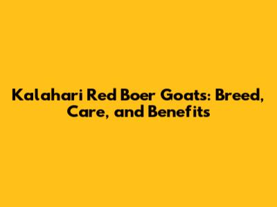 Kalahari Red Boer Goats: Breed, Care, and Benefits
