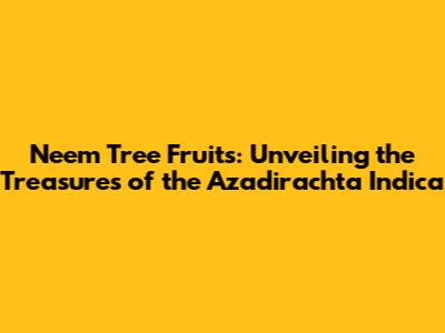 Neem Tree Fruits: Unveiling the Treasures of the Azadirachta Indica