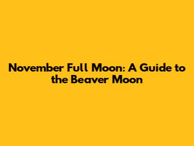 November Full Moon: A Guide to the Beaver Moon
