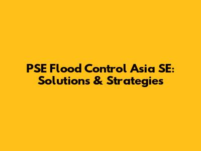 PSE Flood Control Asia SE: Solutions & Strategies