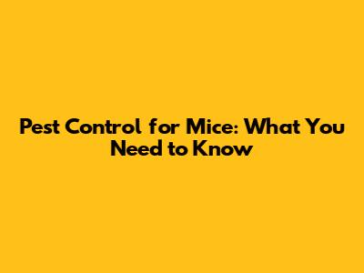 Pest Control for Mice: What You Need to Know