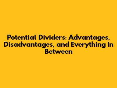 Potential Dividers: Advantages, Disadvantages, and Everything In Between