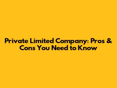 Private Limited Company: Pros & Cons You Need to Know