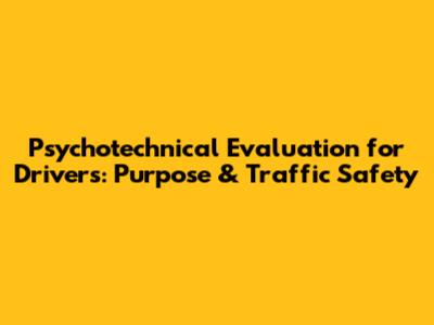 Psychotechnical Evaluation for Drivers: Purpose & Traffic Safety