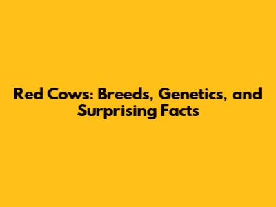 Red Cows: Breeds, Genetics, and Surprising Facts