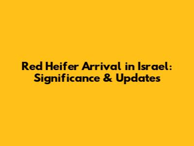 Red Heifer Arrival in Israel: Significance & Updates