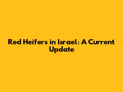 Red Heifers in Israel: A Current Update