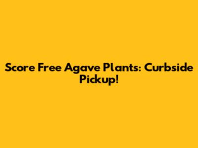 Score Free Agave Plants: Curbside Pickup!