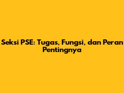 Seksi PSE: Tugas, Fungsi, dan Peran Pentingnya