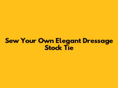 Sew Your Own Elegant Dressage Stock Tie