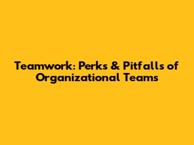 Teamwork: Perks & Pitfalls of Organizational Teams