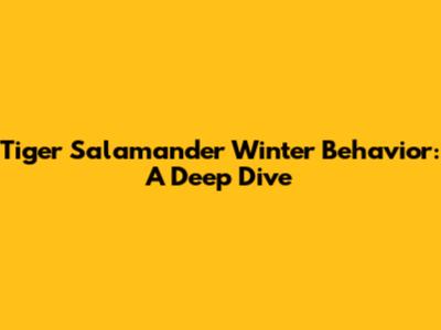 Tiger Salamander Winter Behavior: A Deep Dive