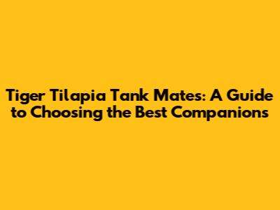 Tiger Tilapia Tank Mates: A Guide to Choosing the Best Companions