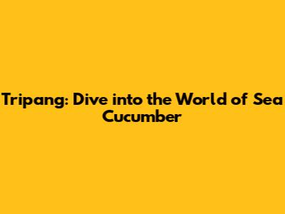 Tripang: Dive into the World of Sea Cucumber