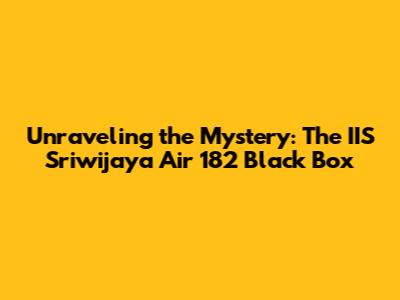 Unraveling the Mystery: The IIS Sriwijaya Air 182 Black Box