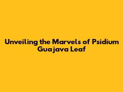 Unveiling the Marvels of Psidium Guajava Leaf