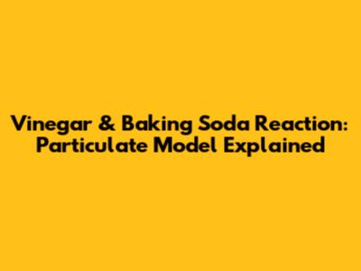 Vinegar & Baking Soda Reaction: Particulate Model Explained