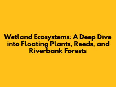 Wetland Ecosystems: A Deep Dive into Floating Plants, Reeds, and Riverbank Forests