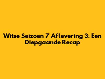 Witse Seizoen 7 Aflevering 3: Een Diepgaande Recap